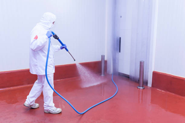 Best Factory Floor Cleaning  in Valencia, NM